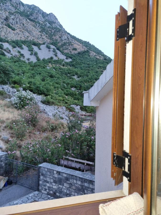 Apartments Sneza Risan Zewnętrze zdjęcie