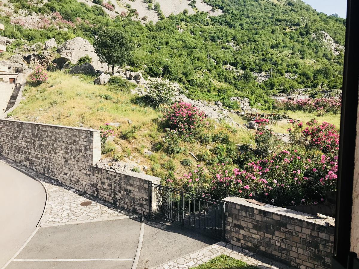 Apartments Sneza Risan Zewnętrze zdjęcie