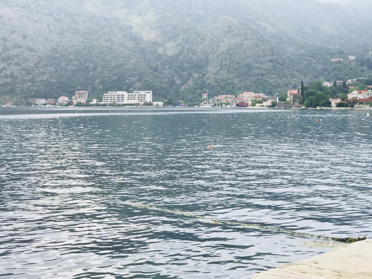 Apartments Sneza Risan Zewnętrze zdjęcie